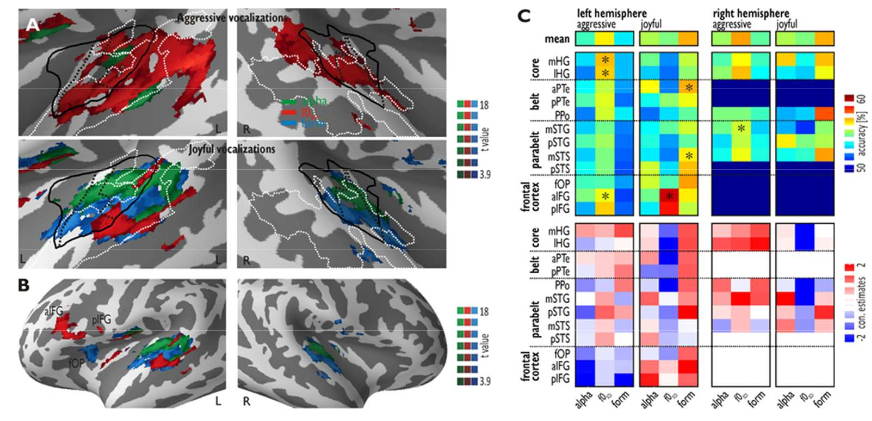 NeuralDecoding2016