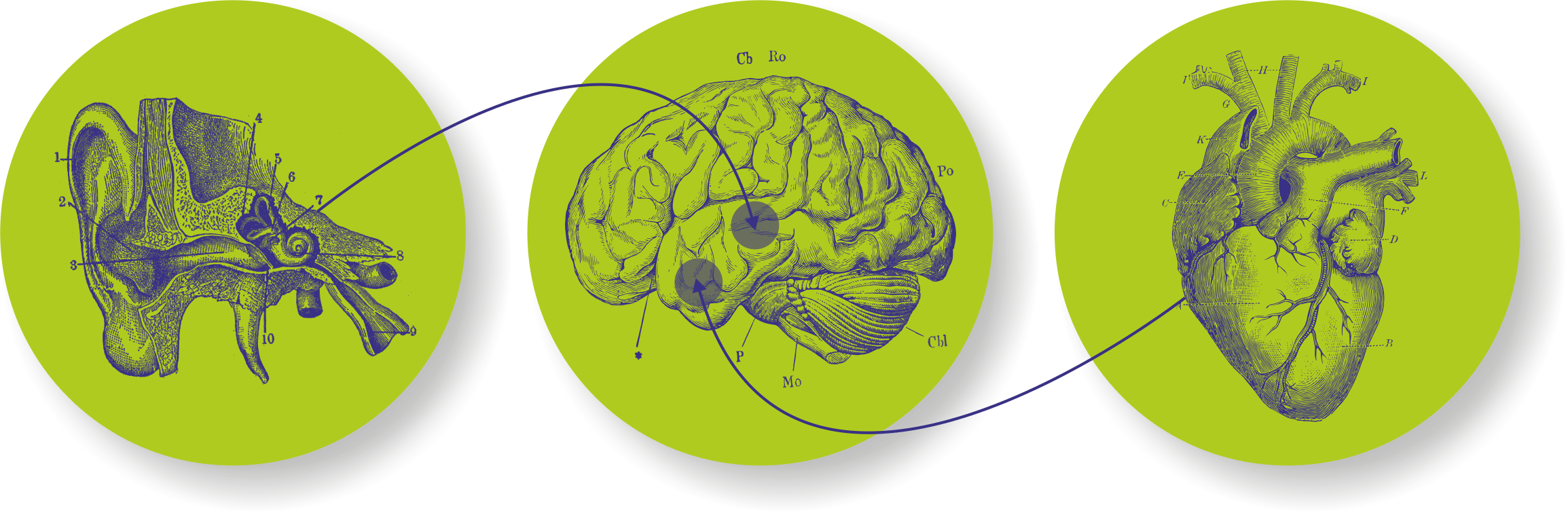 Cognitive and Affective Neuroscience Lab