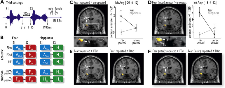 Amygdala2016