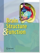 Brain Structure 